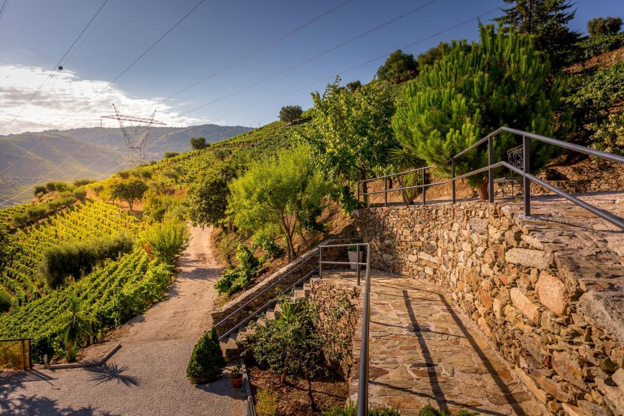 Quinta Da Portela Douro Армамар Екстериор снимка
